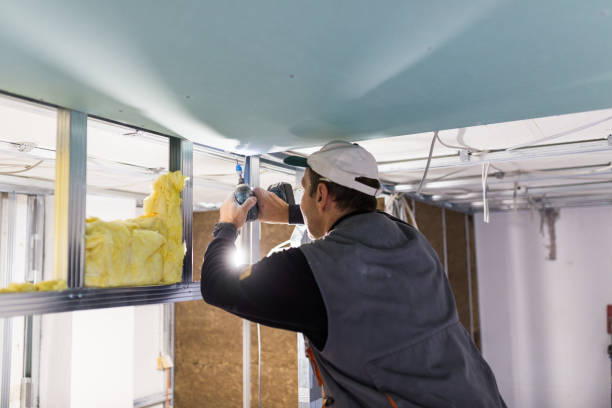 Best Attic Insulation Installation  in Orcutt, CA