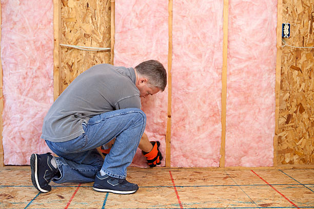 Best Insulation for New Construction  in Orcutt, CA