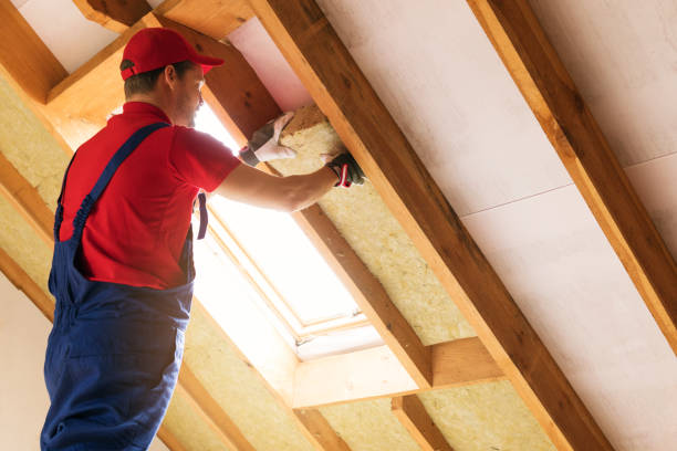 Best Batt and Roll Insulation  in Orcutt, CA